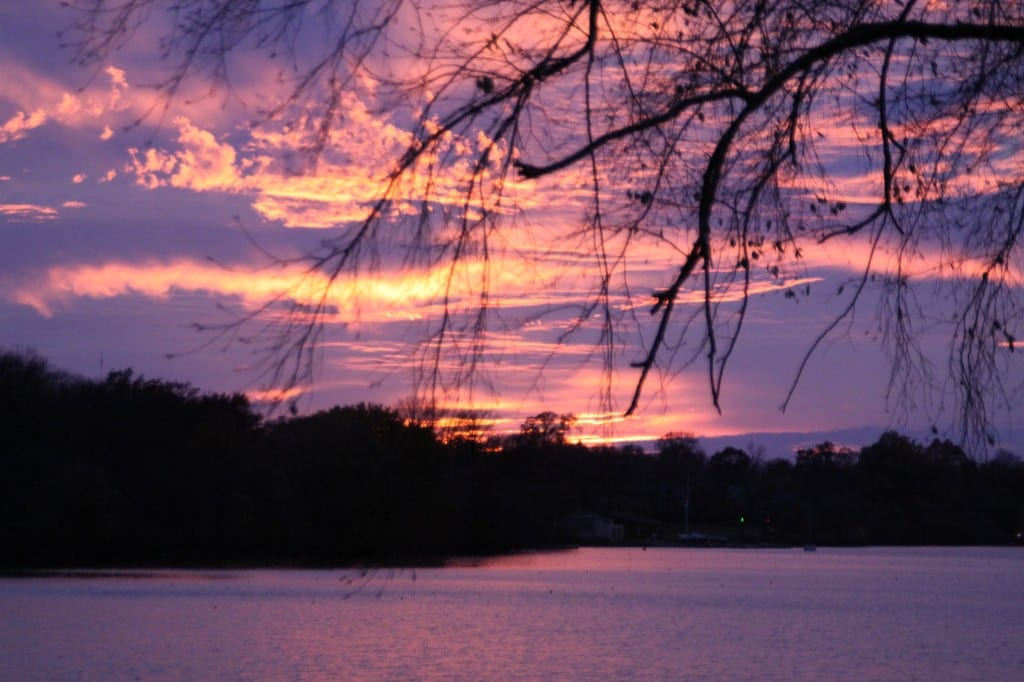 The sun sets on the fall season over the Cooper River